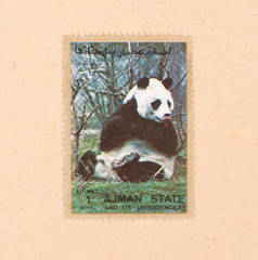 UNITED ARAB EMIRATES - CIRCA 1980: A stamp printed in the UAE shows a panda, circa 1980