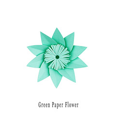 Green paper flower, top view