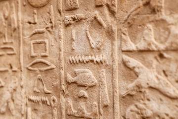 Hieroglyphics in Karnak Temple, Luxor, Egypt