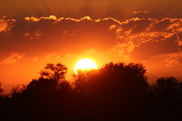 Sunset Clouds