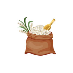 Brown jute sackcloth bag filled with white grain and rice plant.