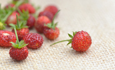 close on fresh wild strawberries put on a natural fabric