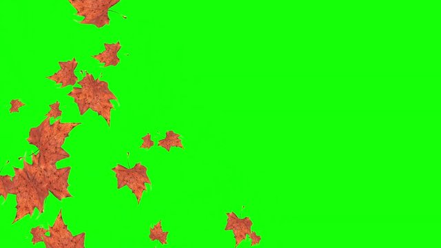 Falling autumn leaves on green background with space for your text