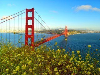 golden gate bridge flower