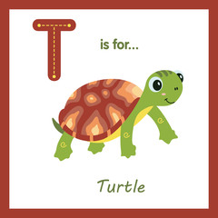 Cute green turtle with brown shell - children alphabet letter