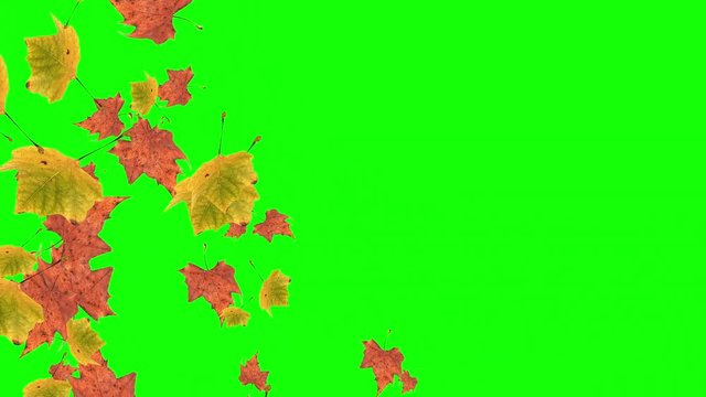 Multicoloured falling autumn leaves on green background with space for your text