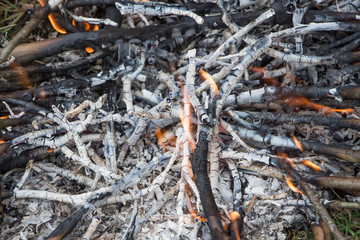 The twigs that have been completely burned leave a carbon ash