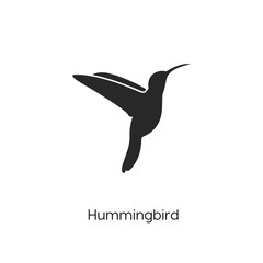 hummingbird icon vector symbol sign