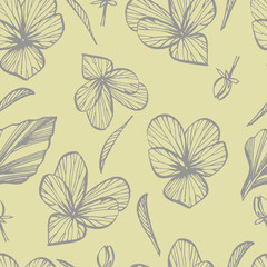 Pansy or daisy flower. Botanical illustration. Good for cosmetics, medicine, treating, aromatherapy, nursing, package design, field bouquet. Seamless pattern.