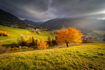 Dolomiti in Autumn landscape tree colours mountains