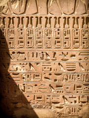 Hieroglyphics at the Karnak temple in Luxor (Egypt)