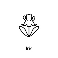 iris icon vector symbol sign