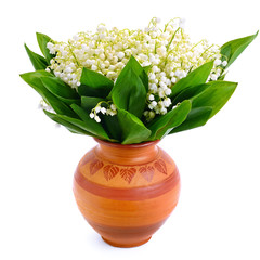 Lily of the valley in flower pot.