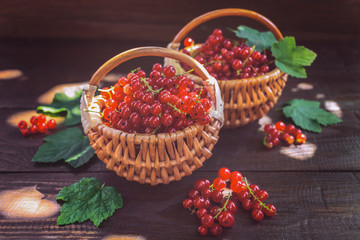 red currant in wicker baskets close-up. background with red currant berries on the table. harvest of red currant.