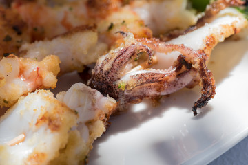 Squid skewers close up