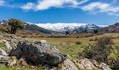 Fototapeta na wymiar Sierra Nevada national park landscape