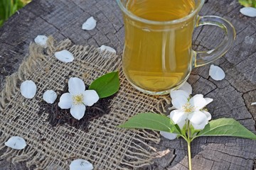 Jasmine flowers and fresh tea on wooden background and burlap.