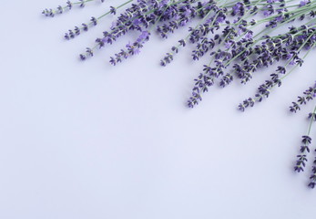 Flowers background. Frame pattern of lavender flowers on pale purple, violet  background. top view. copy space