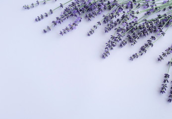 Flowers background. Frame pattern of lavender flowers on pale purple, violet  background. top view....