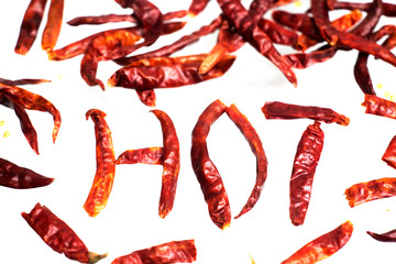 Hot Chili isolated on a white background.