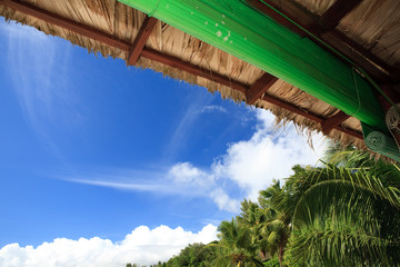 looking out towards a tropical skyline from underneath a canopy made of dried reeds with blue sky and palm trees