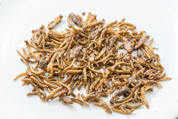 Fried cricket larvae