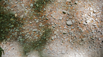 Natural Stones on Outdoor Floor Background