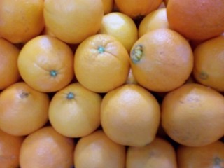 Laranja, fruta, alimento, saudável,suculenta, madura,vitamina