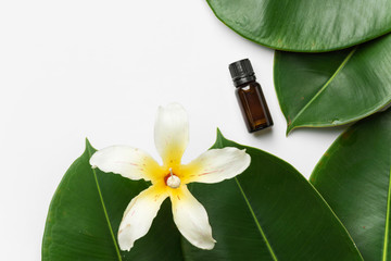 Obraz na płótnie Canvas Big wet ficus leaves tropical flower essential oil bottle candle on white background. Organic cosmetics wellness spa body care concept. High resolution banner poster mock up. Copy space