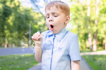 Boy with dandelion