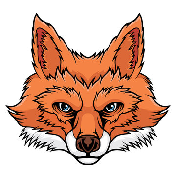 Fox head.