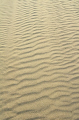 sand desert texture dune dry wind 