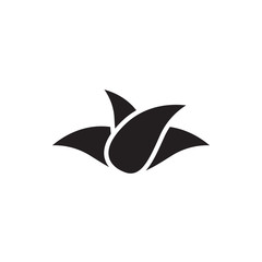 leaf vector icon