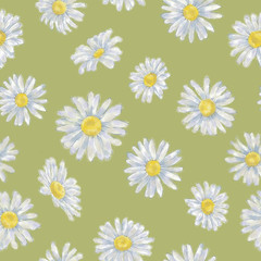 Daisy Flower Seamless Pattern on Grassy Green. Background. Floral Illustration for Print, Background, Wrapping Paper and Textile.