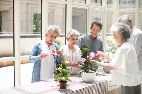 Senior friends planting flowers in nursing home