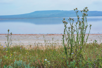 Sandy beach- sea background