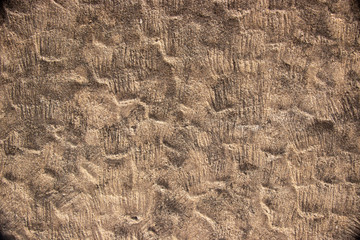 Rough stone wall grunge texture
