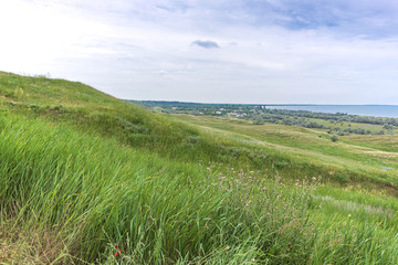 Crimea steppe- landscape summer