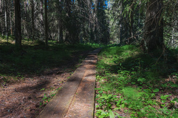 Ladoga lake- visit the national Park