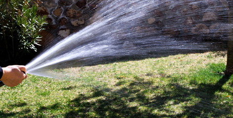 Watering yard with hose