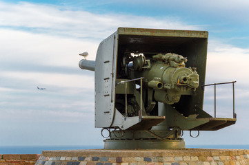 White bird seagull in Montjuic castle canon, Barcelona, Catalonia, Spain.