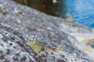 Ladoga lake- visit the national Park