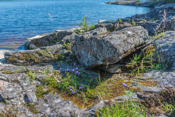 Ladoga lake- visit the national Park