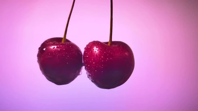 Juicy dark cherries sprinkle juice on a pink background. slow motion