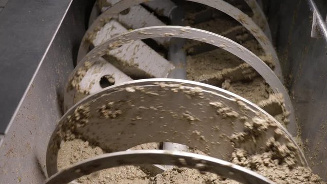 South of Italy. Making olive oil. crusher pressing olives