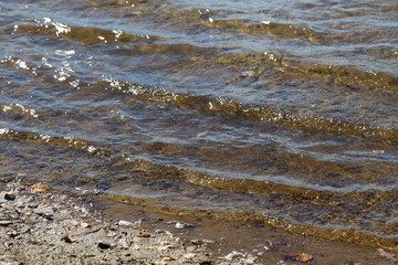 Gentle waves rolling onto shore