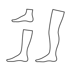 Set of contours of the foot, shin and leg