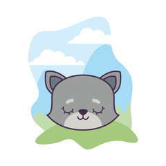 head of cute cat animal in landscape