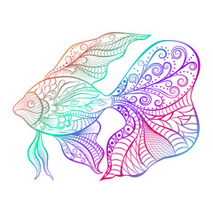 Hand drawn of fish isolated.  Vector illustration. EPS 10