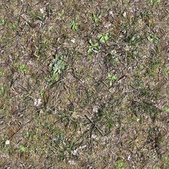 High resolution seemless texture of green grass and plants for 3d modelling with more than 6...